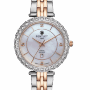 Starry Radiance LADIES WATCH