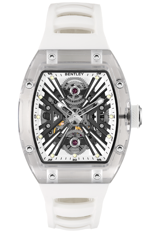 Automatic / Night light MENS WATCH