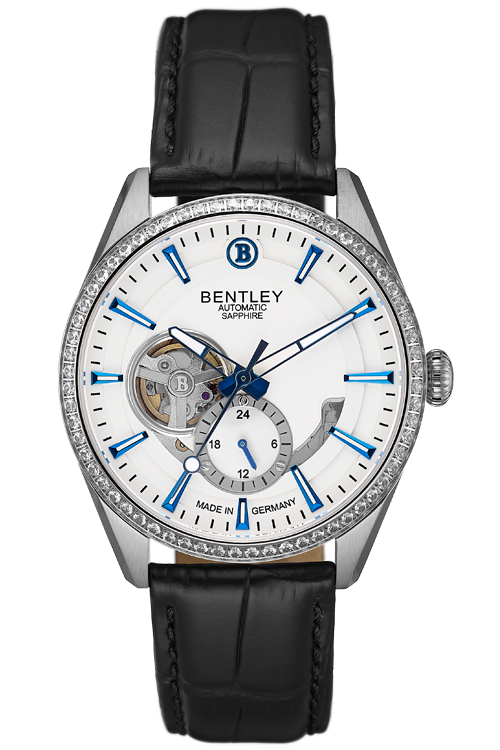 Stainless steel case MENS WATCH